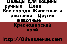 Вальцы для вощины ручные  › Цена ­ 10 000 - Все города Животные и растения » Другие животные   . Краснодарский край